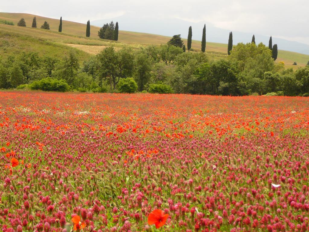 Agriturismo Casalpiano Pienza Exterior photo
